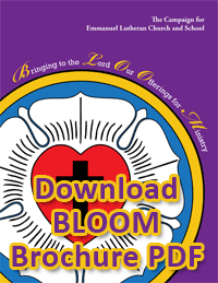 BLOOM Campaign Brochure